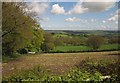 Fields near Hill Grounds