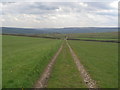 Skipton Moor Lane north of The Bogs