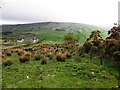 Rushy ground, Fallagh Lower