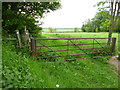 Pamphill, gate and stile