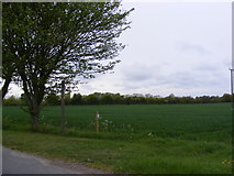 TM3986 : Footpath to St.Andrew's & Ringsfield Halls by Geographer