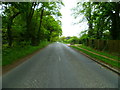 Looking south on Pinewood Road