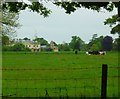 View across pasture to Langley Park House