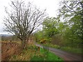 Greenloaning to Sheriffmuir road