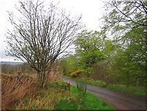 NN8306 : Greenloaning to Sheriffmuir road by Richard Webb