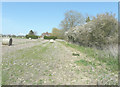 Footpath across a field