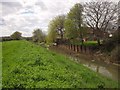 ST3820 : Westport Canal by Derek Harper