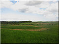 NU0638 : Arable land near Blawearie by Graham Robson