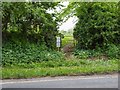 Footpath to Blackford Mill Farm