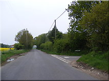 TG1523 : Buxton Road, Eastgate by Geographer