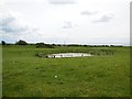 TQ4003 : Dew Pond on Telscombe Tye by Paul Gillett