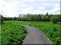 Path, Cathkin Braes Country Park