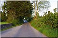 R7172 : Minor road above Ballina, Co. Tipperary by P L Chadwick