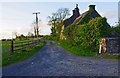 R7172 : Lane above Ballina, Co. Tipperary by P L Chadwick