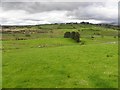 Crockanboy Townland