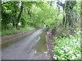 Downs Road, looking towards Istead Rise