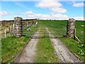 Stone pillars and gate, Crockanboy