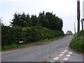 TM2998 : Brooke Road, Kirstead by Geographer
