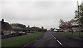 Nethermains Road looking south