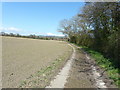 Paved track to Westenhanger pumping station