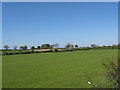 Pasture lands between Freelands and Highberries