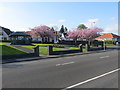 Public gardens on Alexandra Parade Kirn