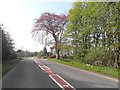 Approaching the junction of the A713 and the A712