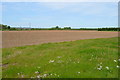 TR2561 : Fields near Preston by Julian P Guffogg