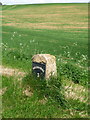 Poyntington: milestone on the Corton Denham road