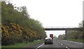 Overbridge at Redroad Woods