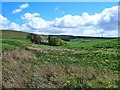 Towards Glencosie