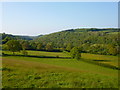 Across the Avon Valley