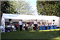 SS6190 : Band concert in Clyne Gardens by john bristow