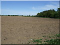 Farmland off Conisholme Road