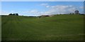 Farmland on Crouch