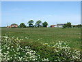 Farmland towards Poplar Grove