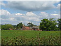 Oast house at Old Place Farm Mayfield