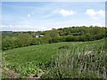 Looking towards Penhouse Farm