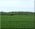 TA3000 : Farmland, Grainsby Holme by JThomas