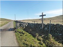 NX6386 : Southern Upland Way and cattle grid by Ann Cook