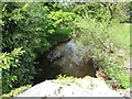 Forkhill River above the Old Bridge