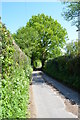 Sopers Lane, near Hawkhurst