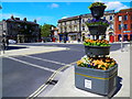 Wimborne Minster: floral display in High Street