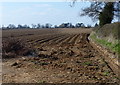 Farmland next to Newton Road