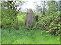 Ordnance Survey Trig Pillar S6385