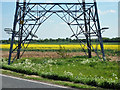 Agricultural view with pylon