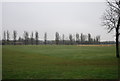 Pitches, Perivale Park