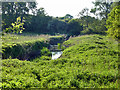 River Brain south of Braintree