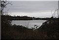 Nazeing Meads Lakes