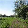 Nearing Castle Camps on Homers Lane